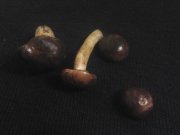 2013-09-22 00.54.13.jpg