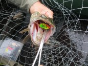 IMG_0247.JPG