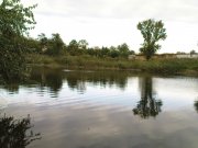 DSC08838.JPG