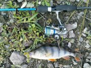 DSC08843.JPG