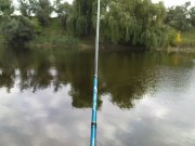 DSC08839.JPG