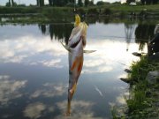 DSC08848.JPG