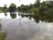 DSC08842.JPG