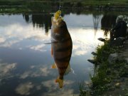DSC08847.JPG