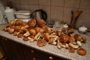 DSC_2678.jpg