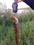 IMG_20130922_154011.jpg