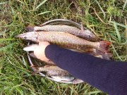 IMG_20130922_154139.jpg