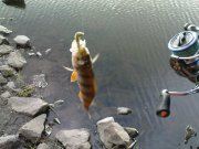 DSC08851.JPG