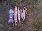 IMG_20131001_155325.jpg