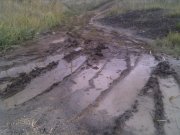 IMG_20131001_155355.jpg