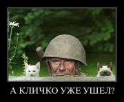 1381192594_photojaba_box_11.jpg