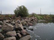 o 117.jpg