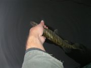 IMG_0281.JPG