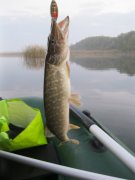 IMG_0279.JPG