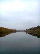 Фото0321.jpg