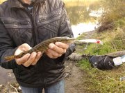 IMG_20131013_112007.jpg