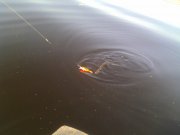 IMG_20131013_091726.jpg
