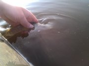 IMG_20131013_091741.jpg