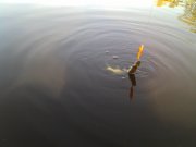 IMG_20131013_092111.jpg