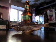 IMG_20131013_161045.jpg