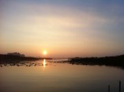 IMG_0338.JPG