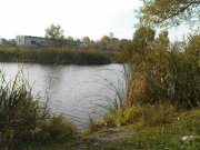 DSC08952.JPG