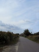 SDC14163.jpg
