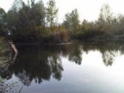 DSC08975.JPG