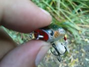 DSC08973.JPG