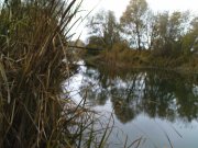 DSC08984.JPG