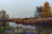 IMG_0934_36-3_resize.jpg