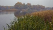 IMG_0937_resize.jpg