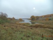 DSC00487.JPG