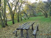 DSC00485.JPG