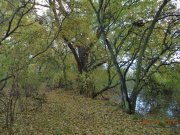 DSC00494.JPG