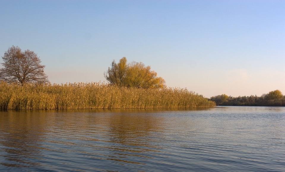 день в ноябре короткий, уже пора и в обратный путь..