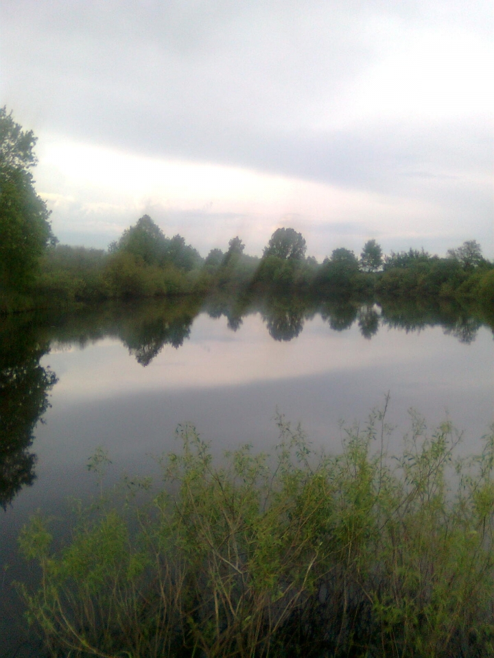 р.Горынь